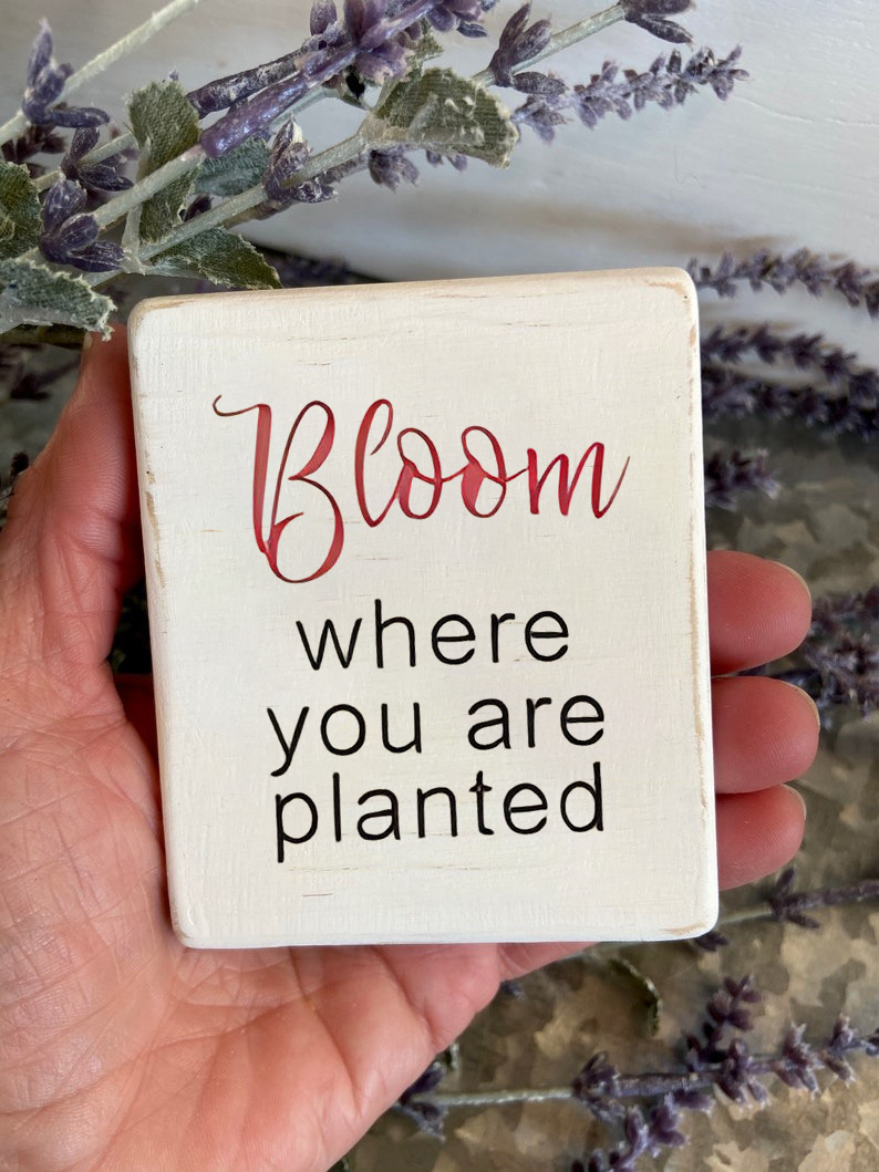 Spring mini wood signs