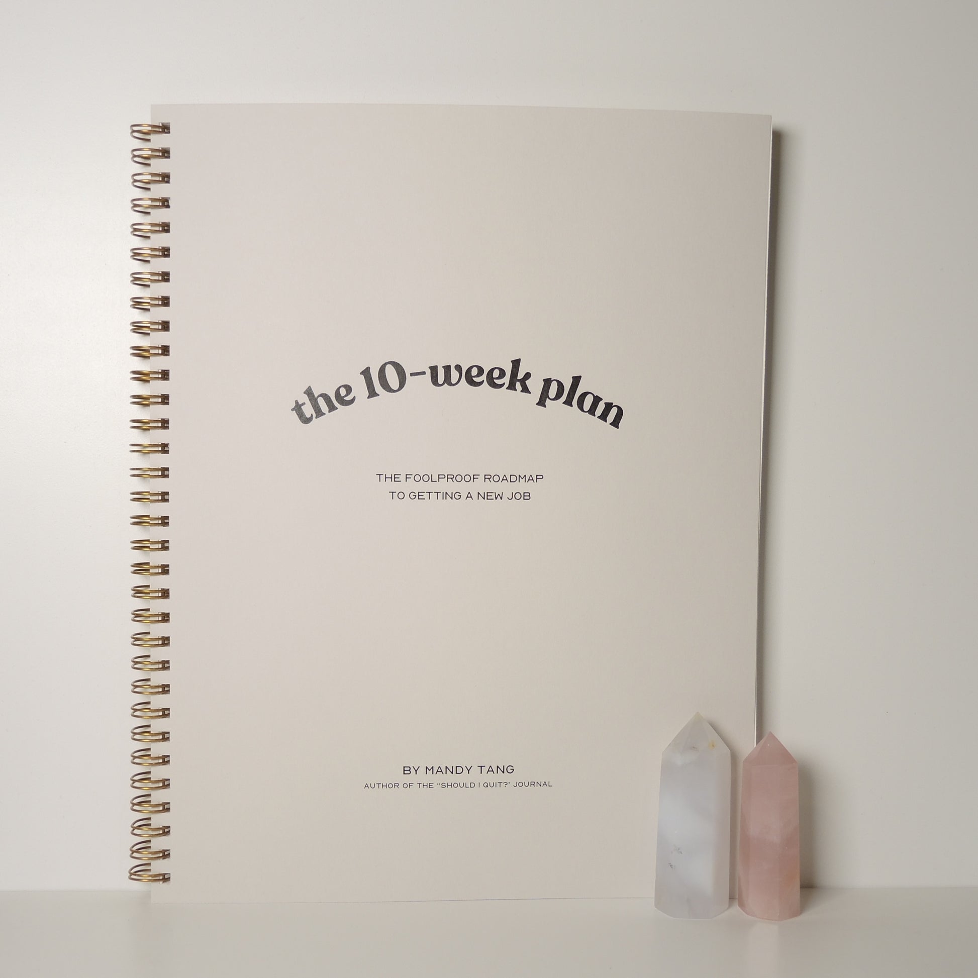 The 10-Week Plan to Get a New Job