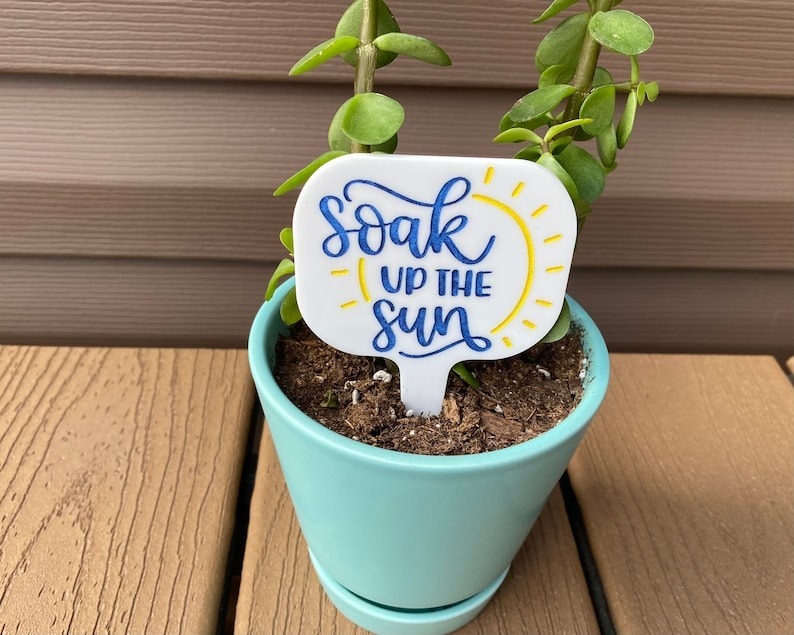 🔥Hot Sale ✨Fun Plant Stake