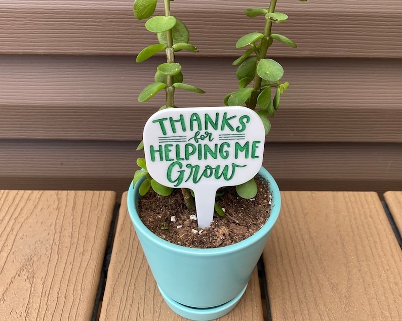 🔥Hot Sale ✨Fun Plant Stake