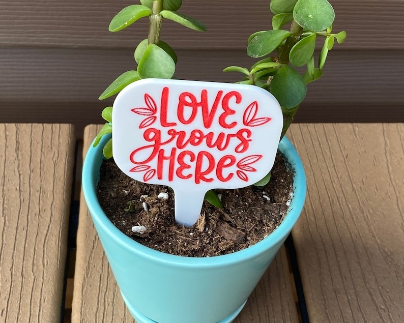 🔥Hot Sale ✨Fun Plant Stake