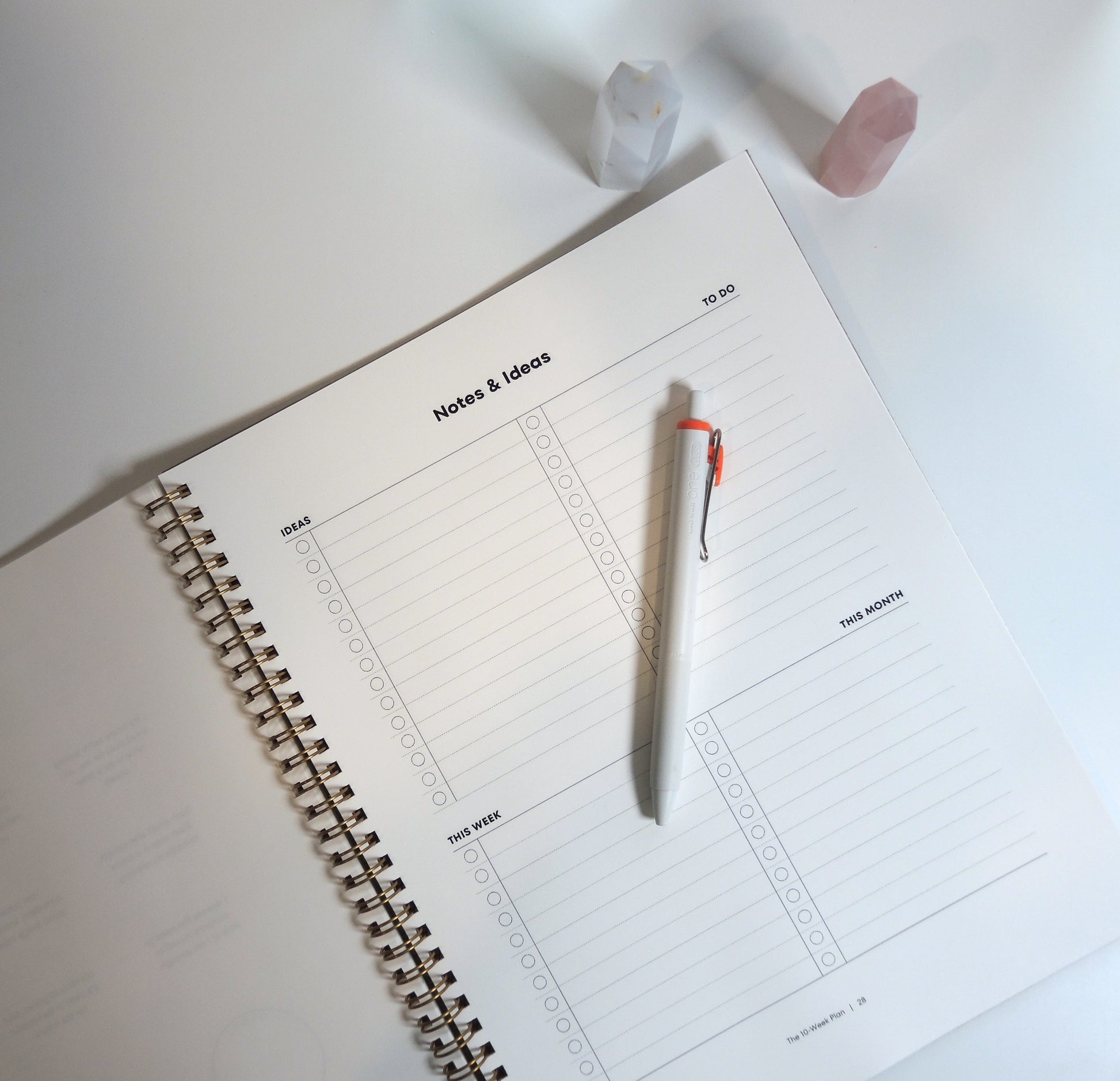 The 10-Week Plan to Get a New Job