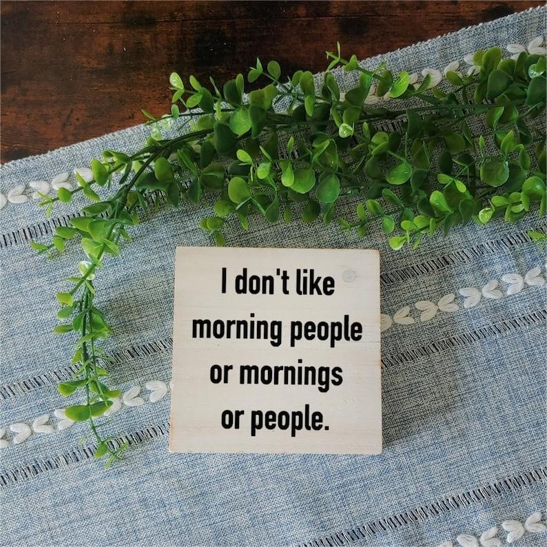 😂Funny Saying Ornaments