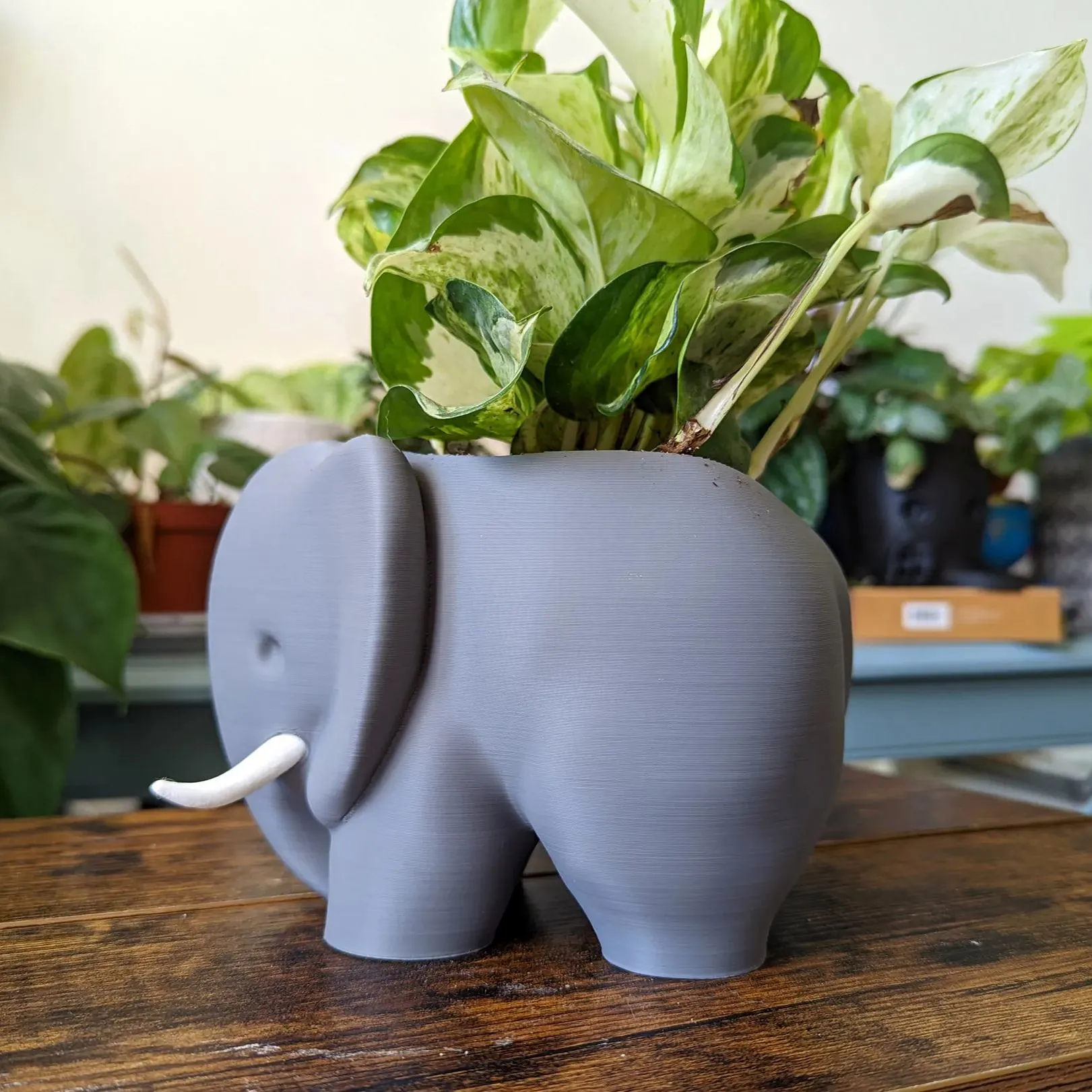 3D Printed Elephant Plant Pot