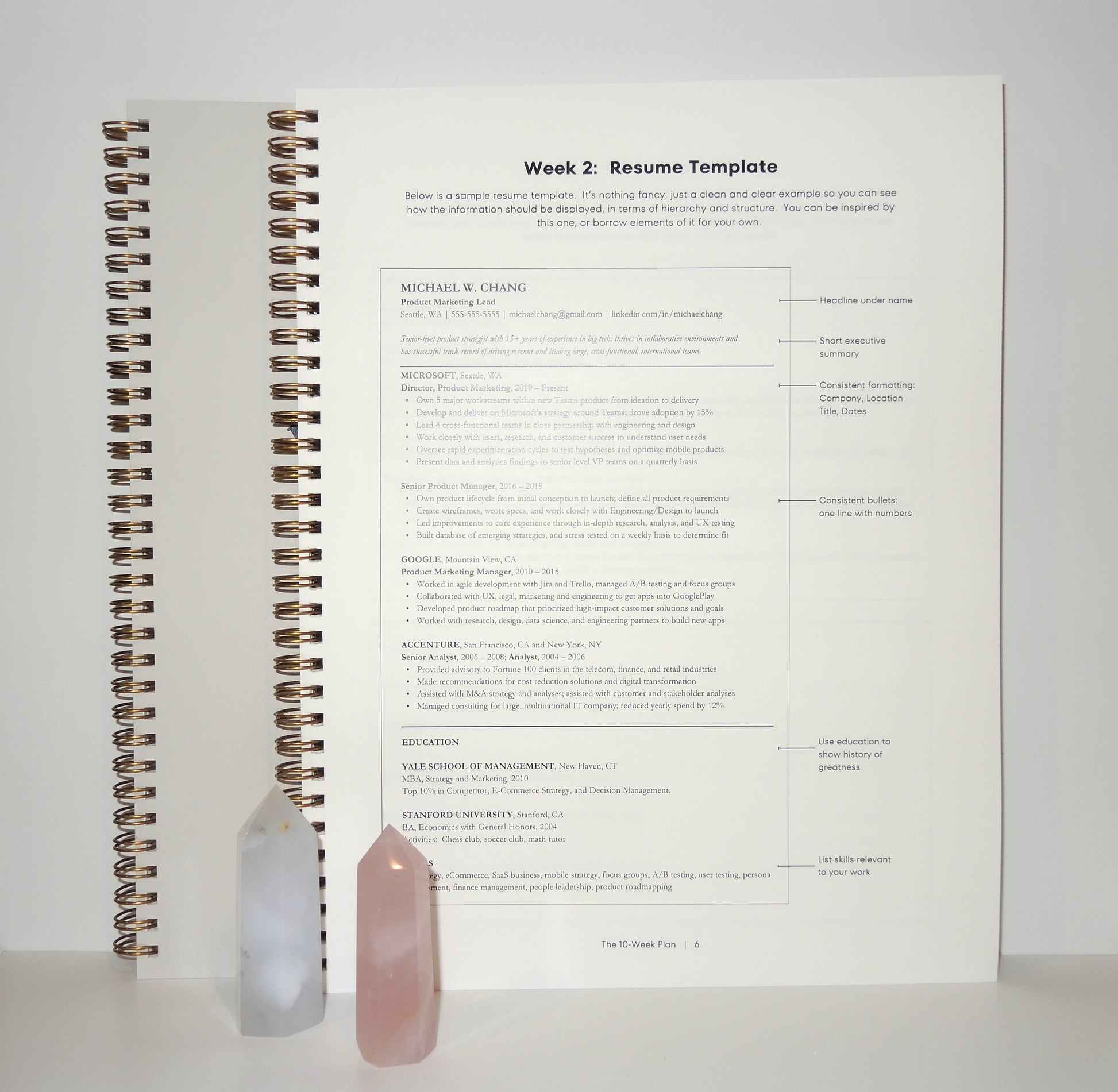 The 10-Week Plan to Get a New Job