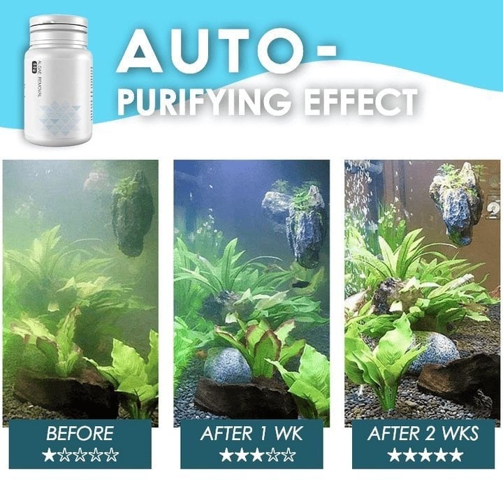 🌺NEW Algae Repellent Agent