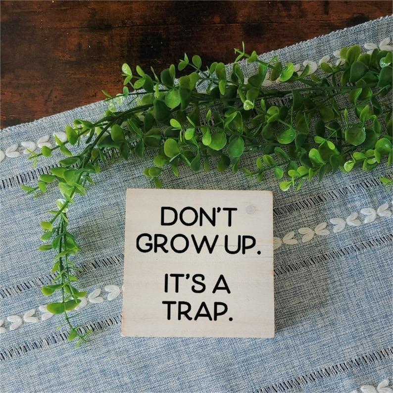 😂Funny Saying Ornaments