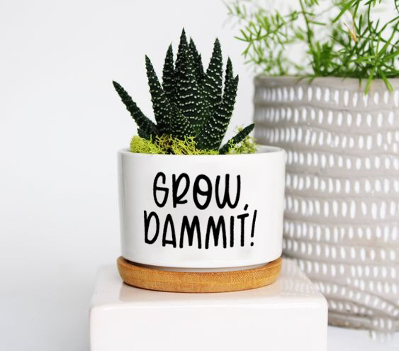 Funny Plant Pot