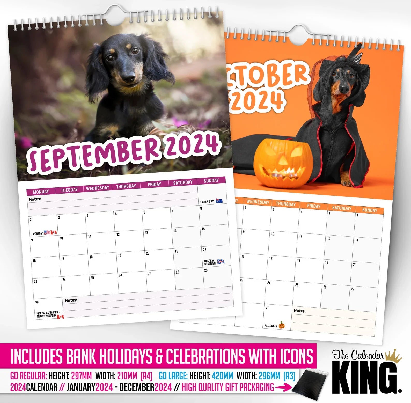 🤣Cheeky Dachshunds - 2024 Wall Calendar