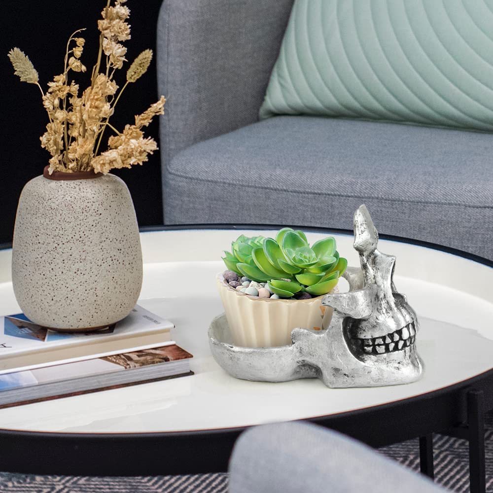 🎁Creative ornament - 💀Skull Glasses Holder💡