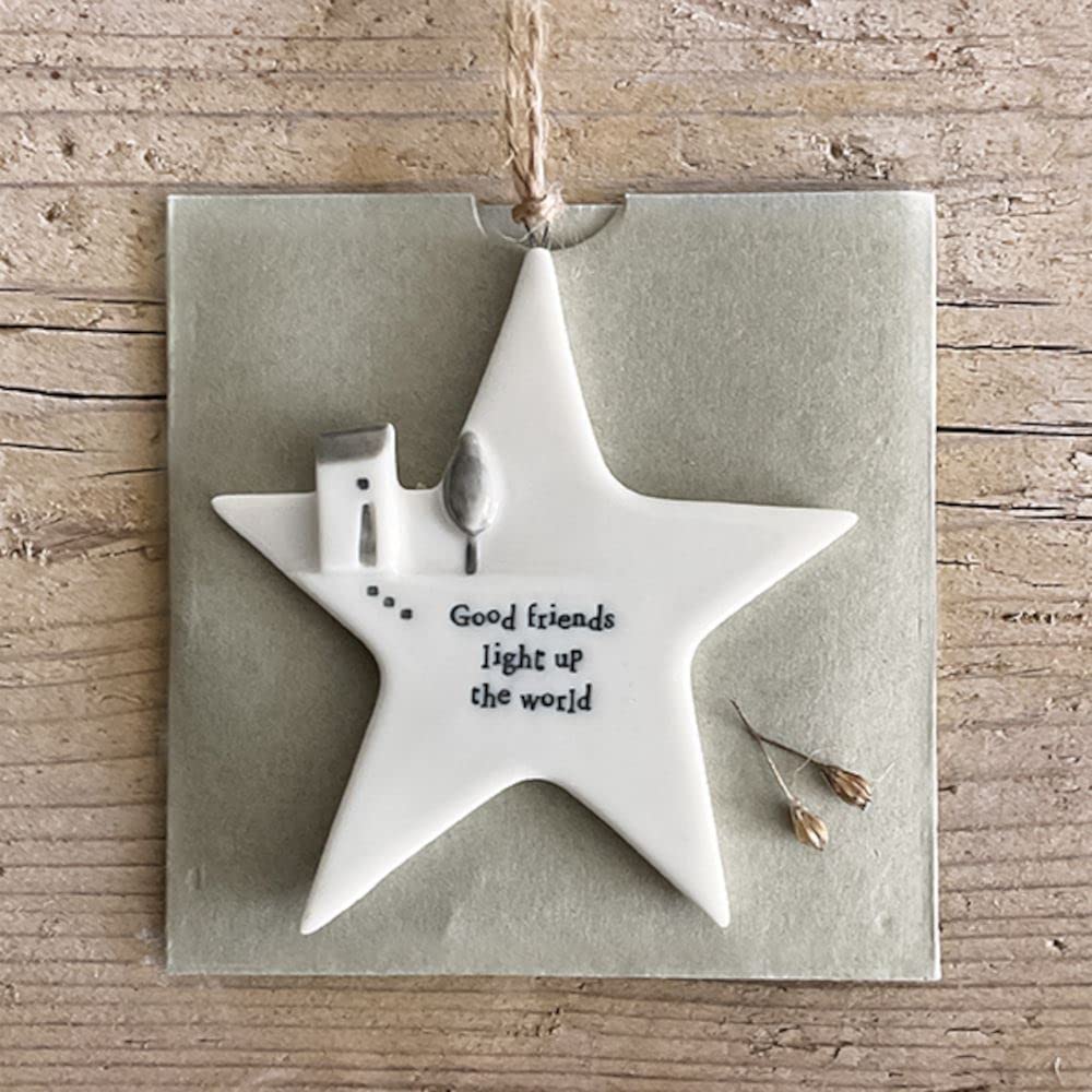 ⭐Emotional Support Rustic Hanging Star Ornament🎁