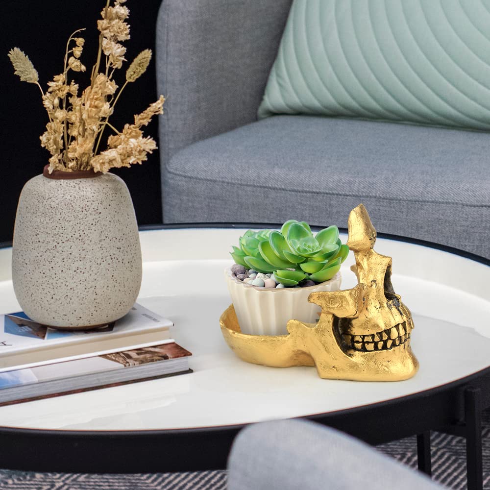 🎁Creative ornament - 💀Skull Glasses Holder💡