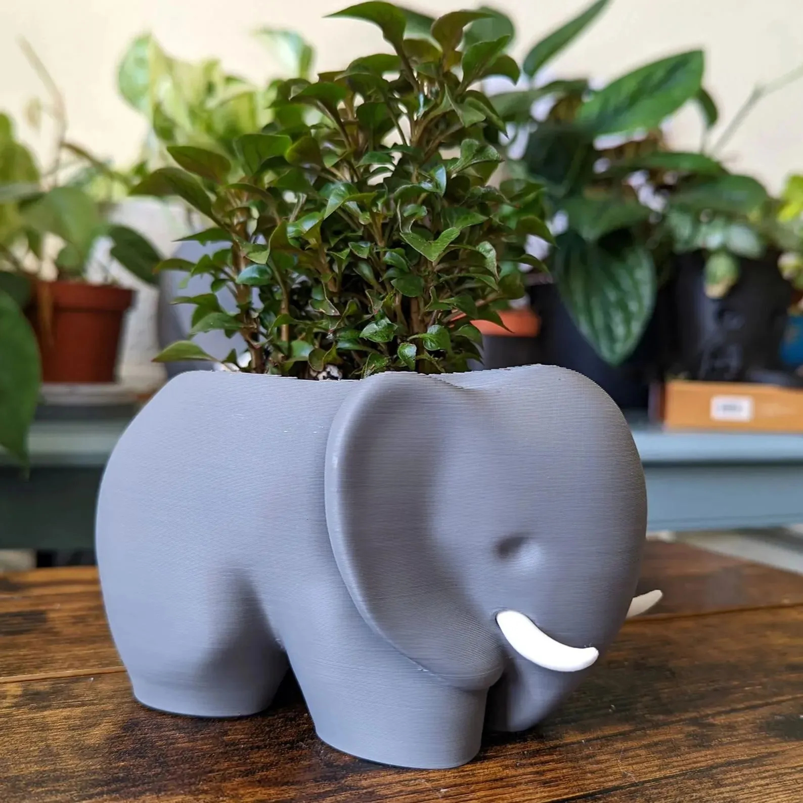 3D Printed Elephant Plant Pot