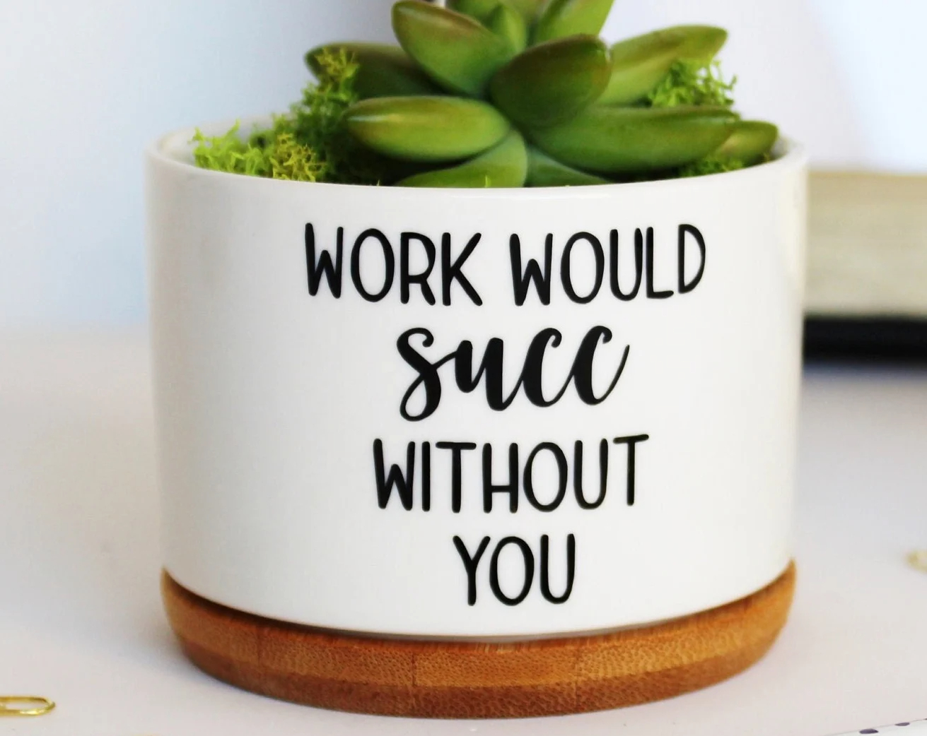 Funny Succulent Planter