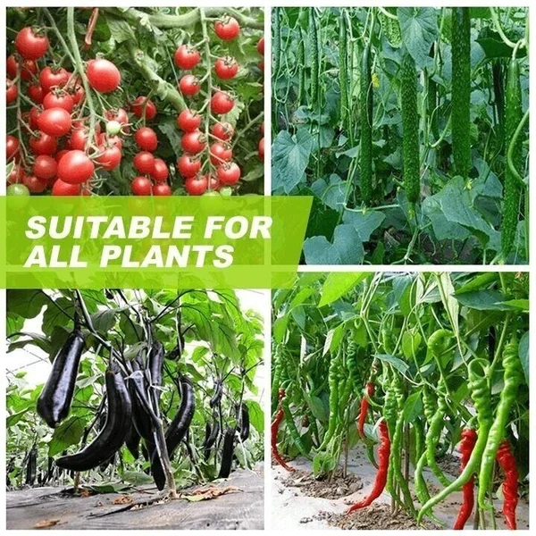 🍀Magic Hydroponic liquid fertilizer🌱