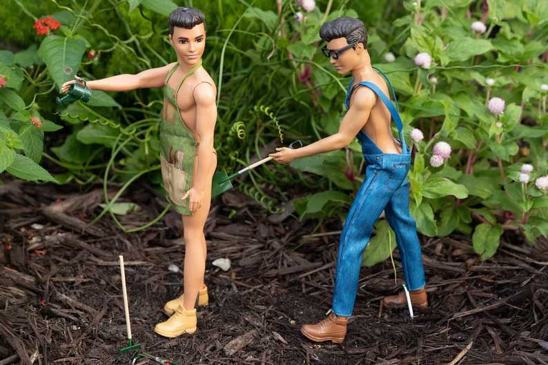 2025 Funny Doll Photography Calendar