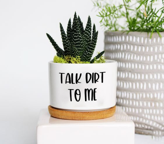 Funny Plant Pot