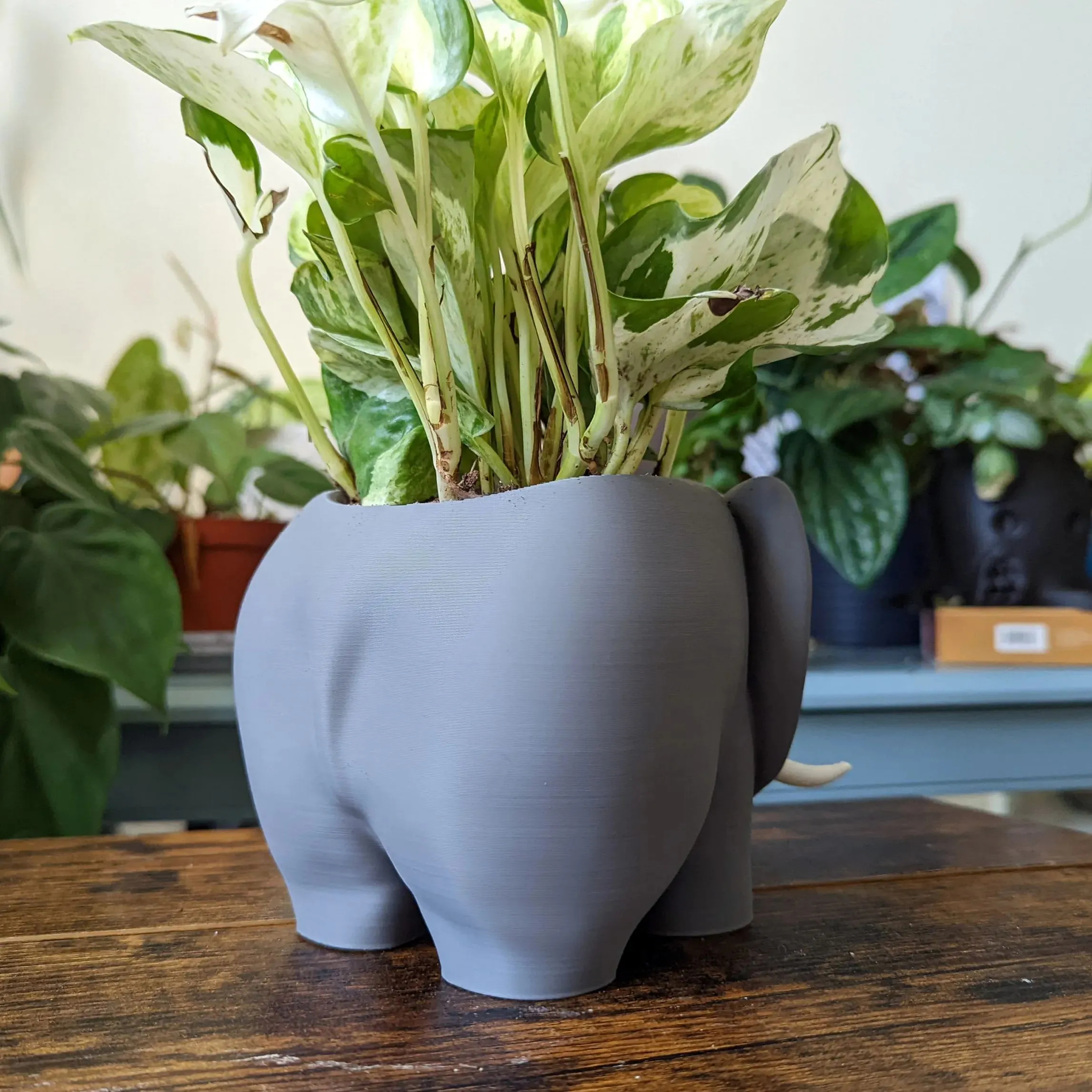 3D Printed Elephant Plant Pot