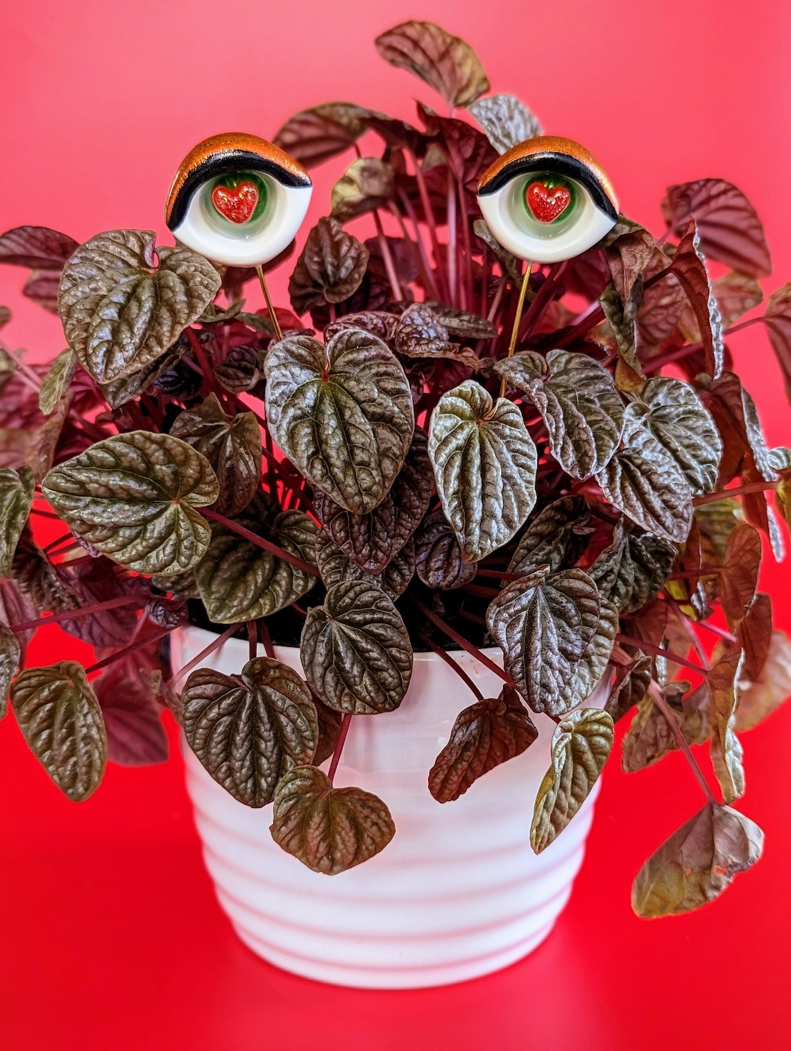 Valentines Plant eyes accessory