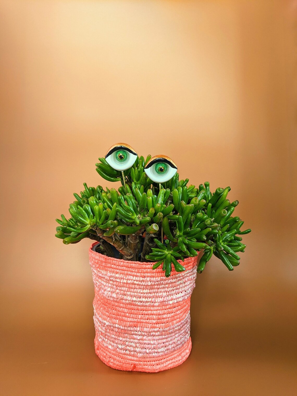 Valentines Plant eyes accessory