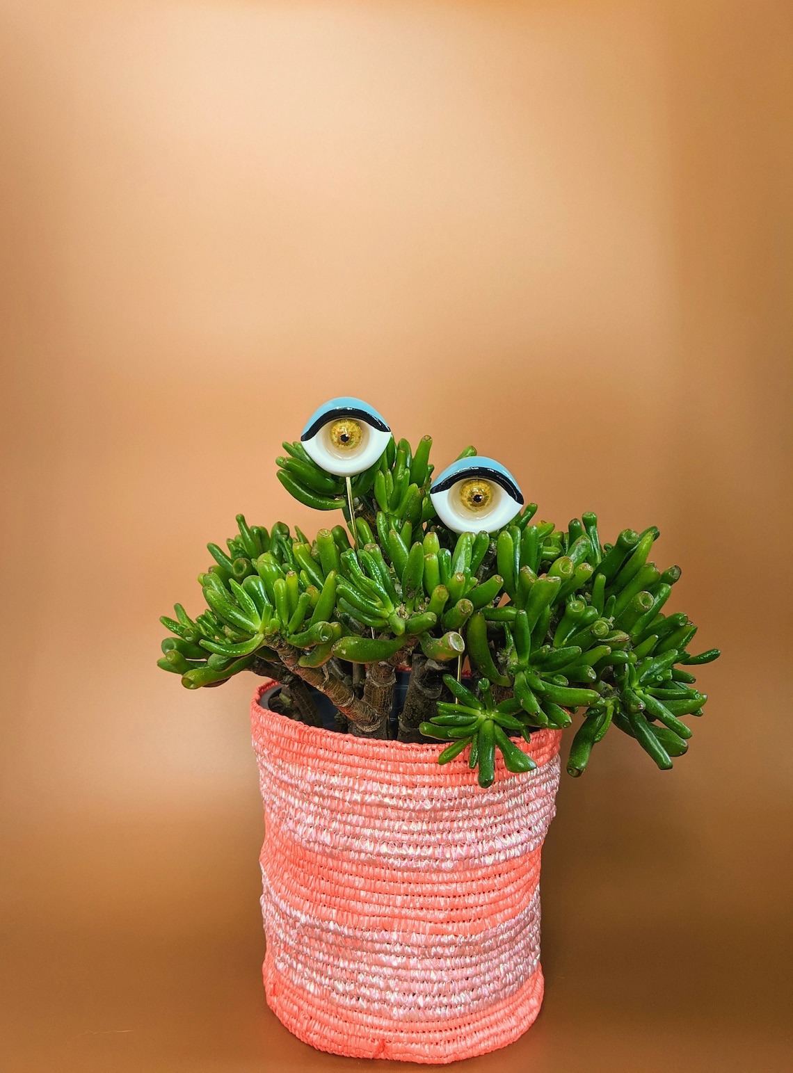 Valentines Plant eyes accessory