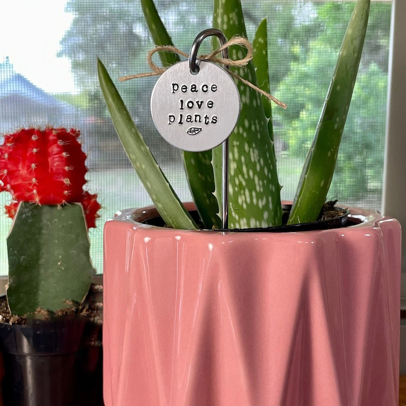 🌱 Garden Potted Plant Decoration