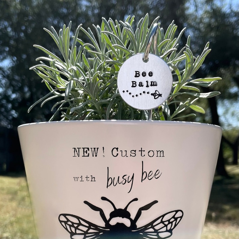 🌱 Garden Potted Plant Decoration