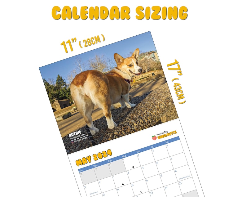 Corgi Butts 2024 Funny Dog Calendar