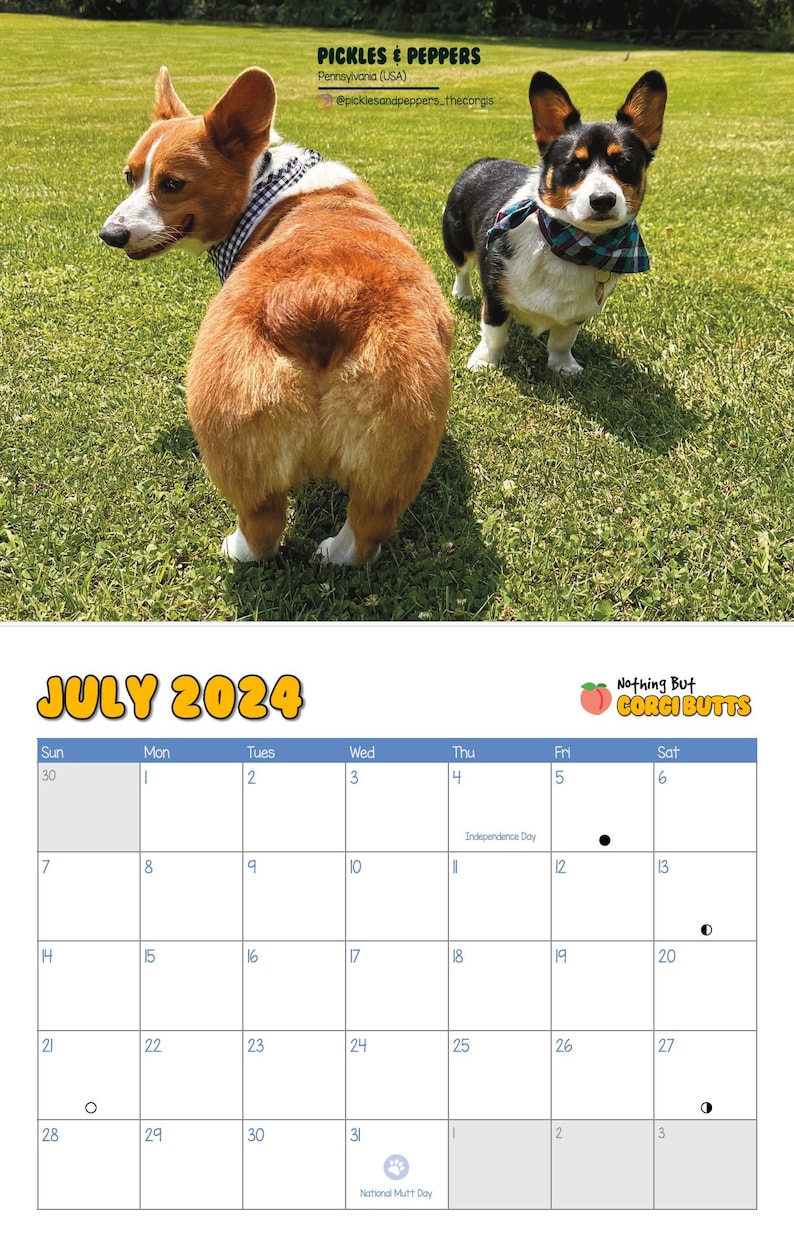 Corgi Butts 2024 Funny Dog Calendar