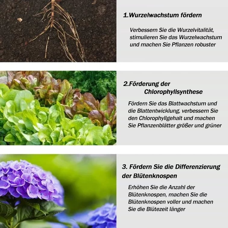 🔥All-purpose slow-release fertilizer for plants