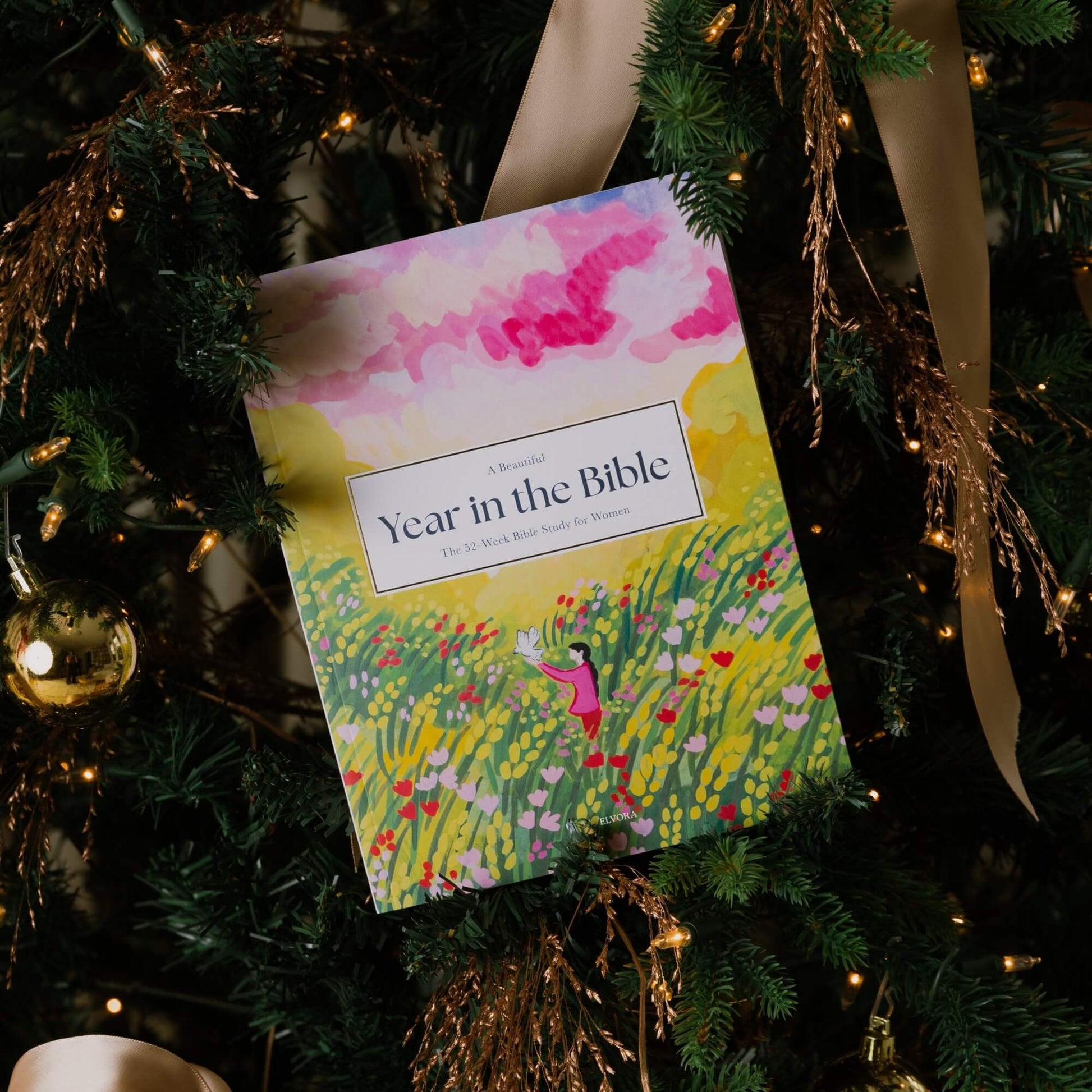 ✝A Beautiful Year in the Bible: The 52-Week Bible Study for Women