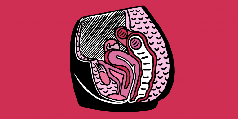 ✨Pussypedia: A Comprehensive Guide📖 