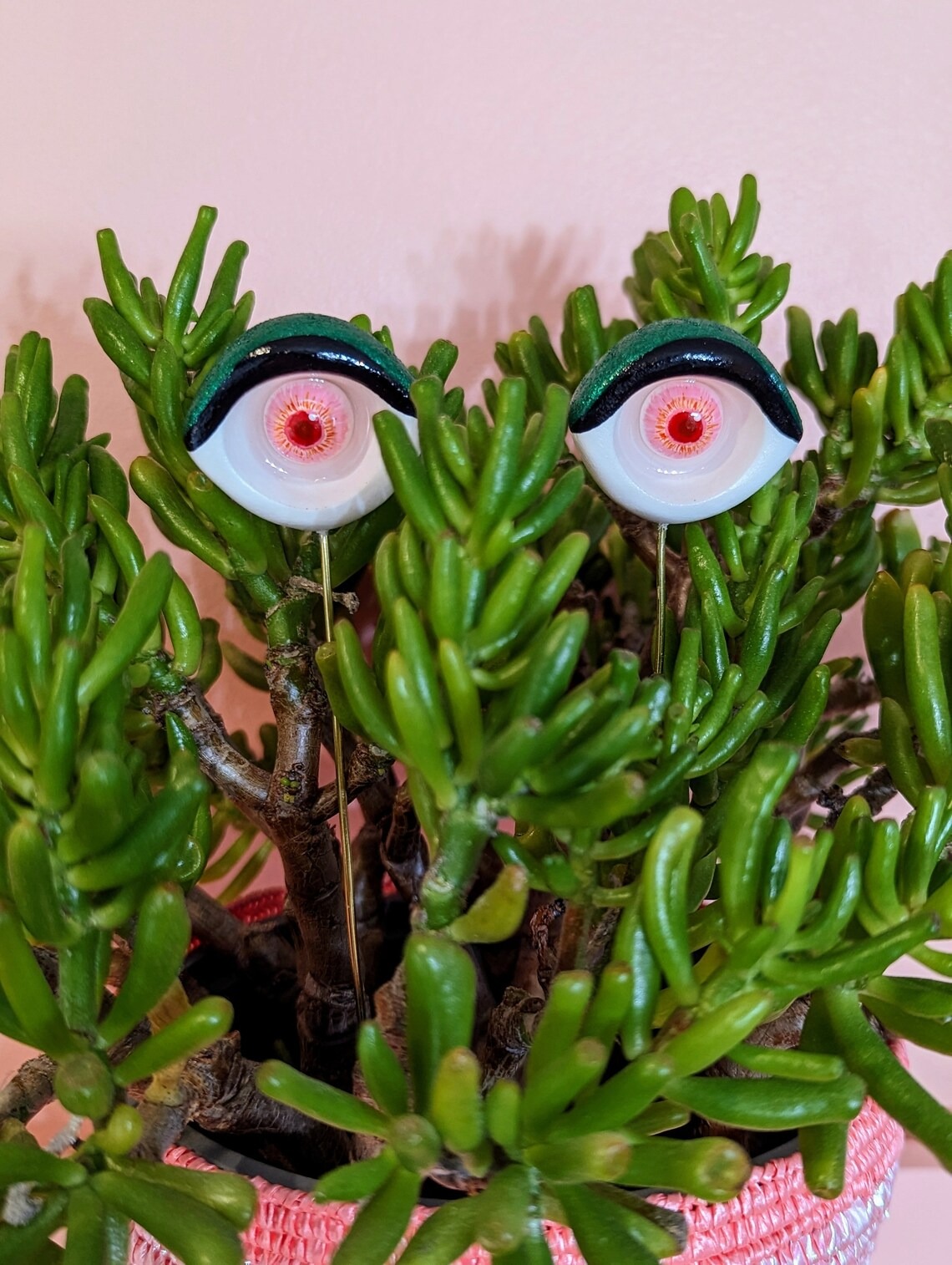 Valentines Plant eyes accessory
