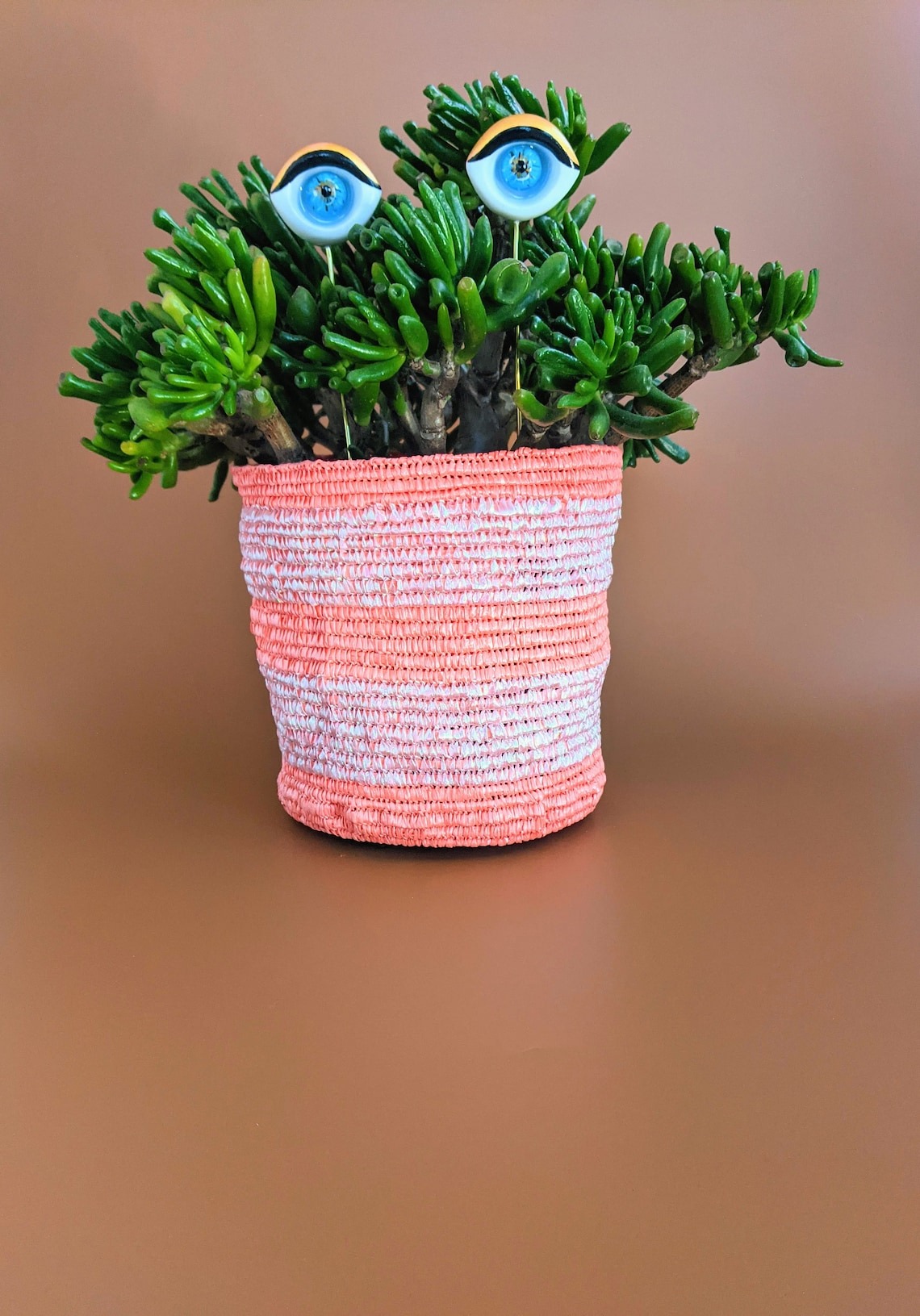 Valentines Plant eyes accessory