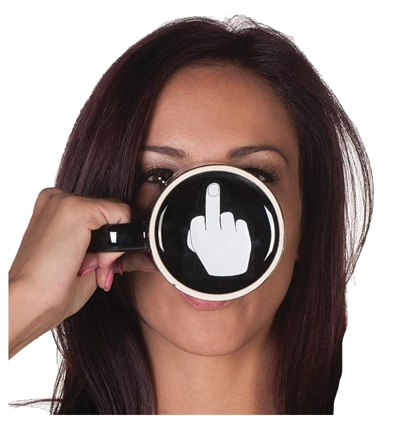 Have a Nice Day Middle Finger Mugs