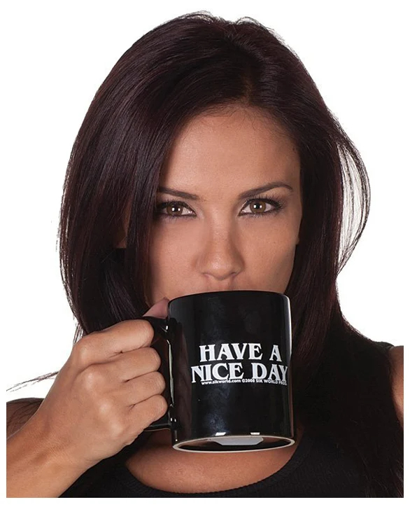 Have a Nice Day Middle Finger Mugs