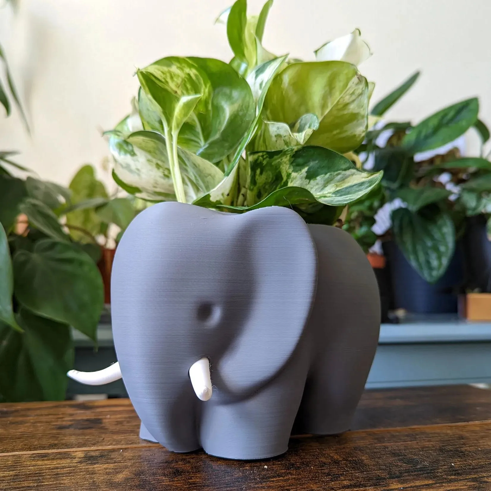 3D Printed Elephant Plant Pot