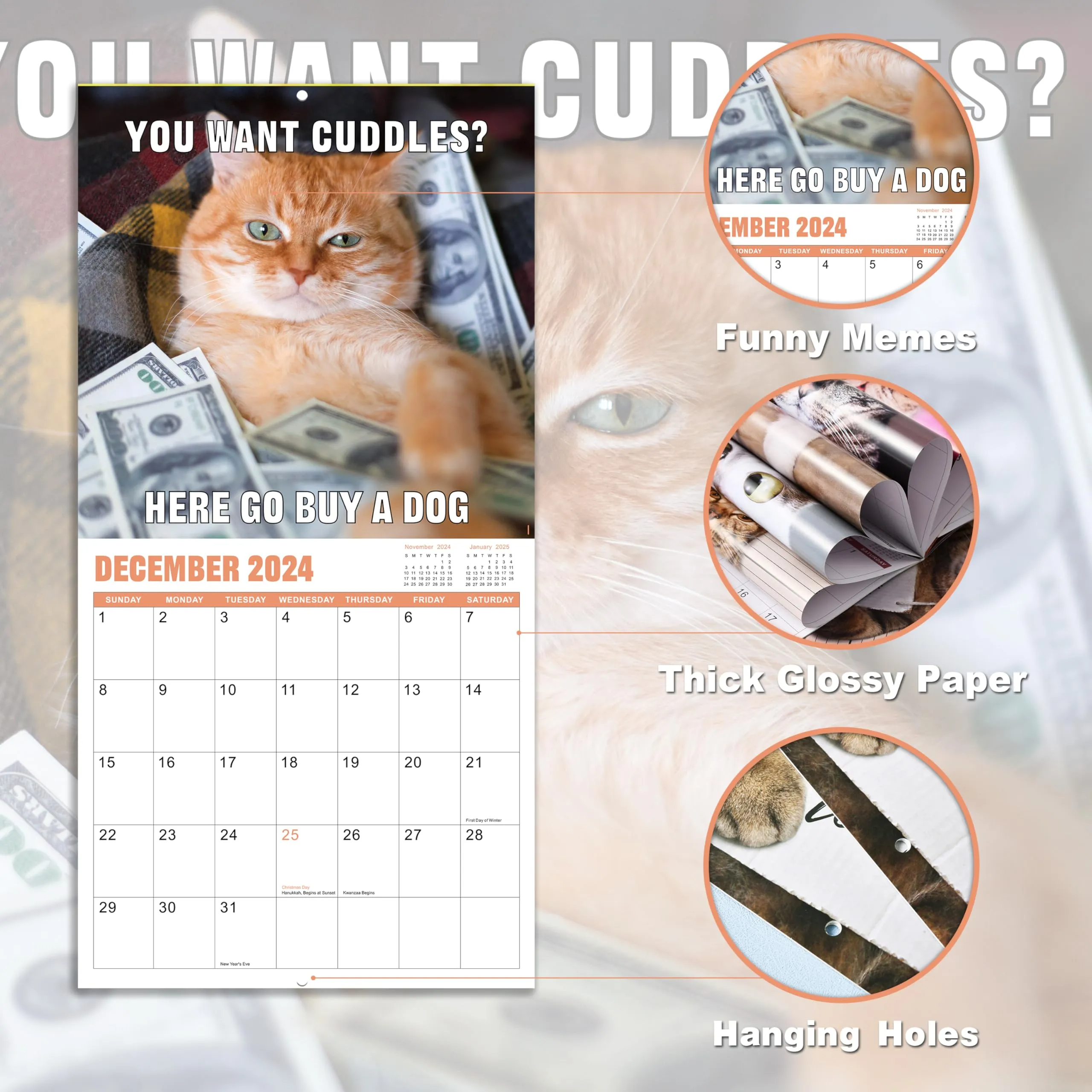 Funny Cat Calendar 2024