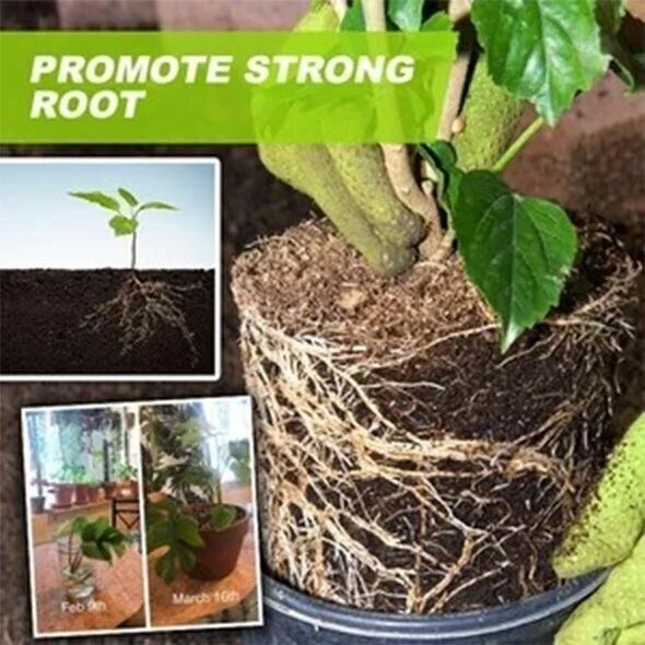 🍀Magic Hydroponic liquid fertilizer🌱