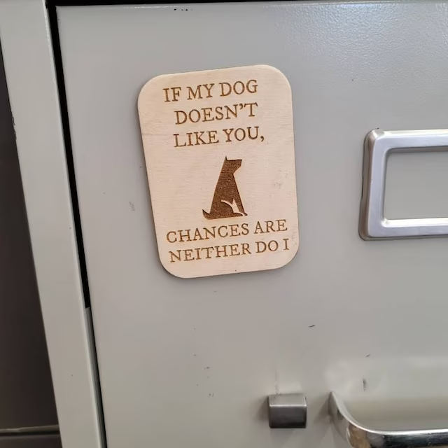 🤣Funny Kitchen / Fridge Magnet