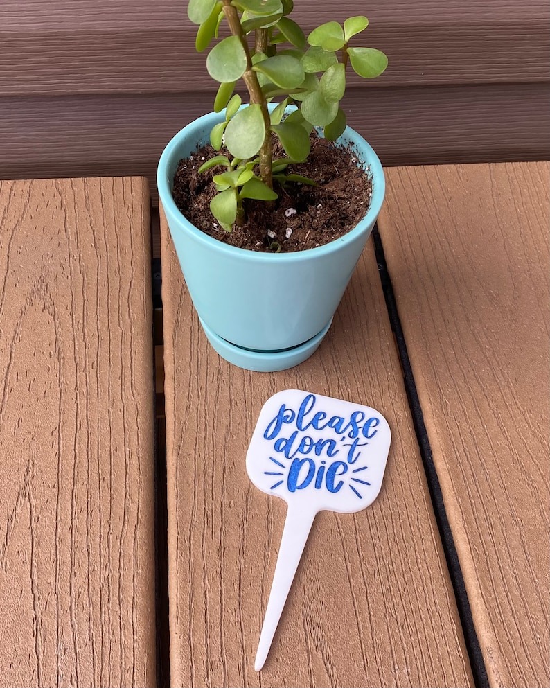 🔥Hot Sale ✨Fun Plant Stake