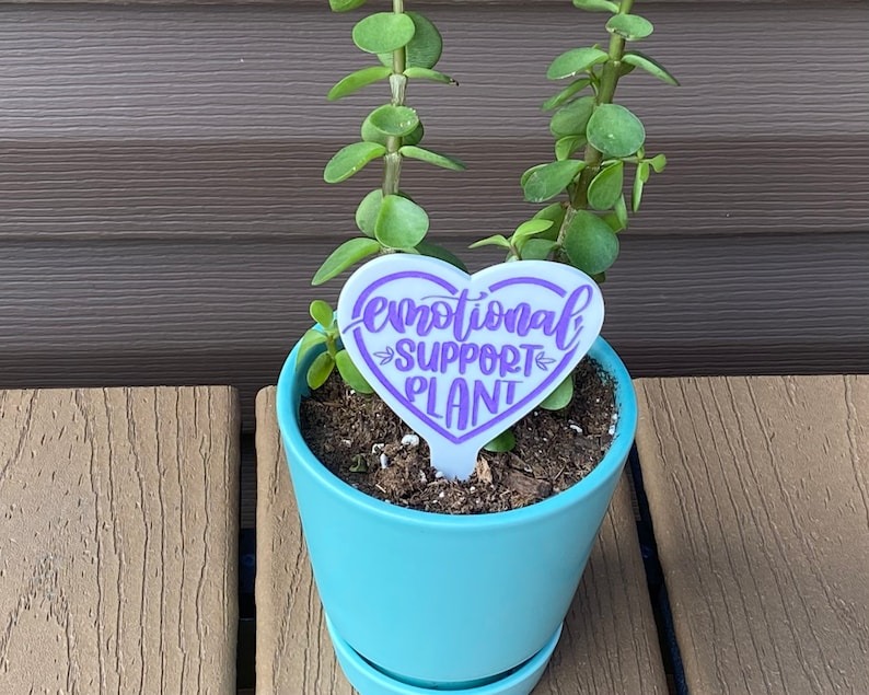 🔥Hot Sale ✨Fun Plant Stake