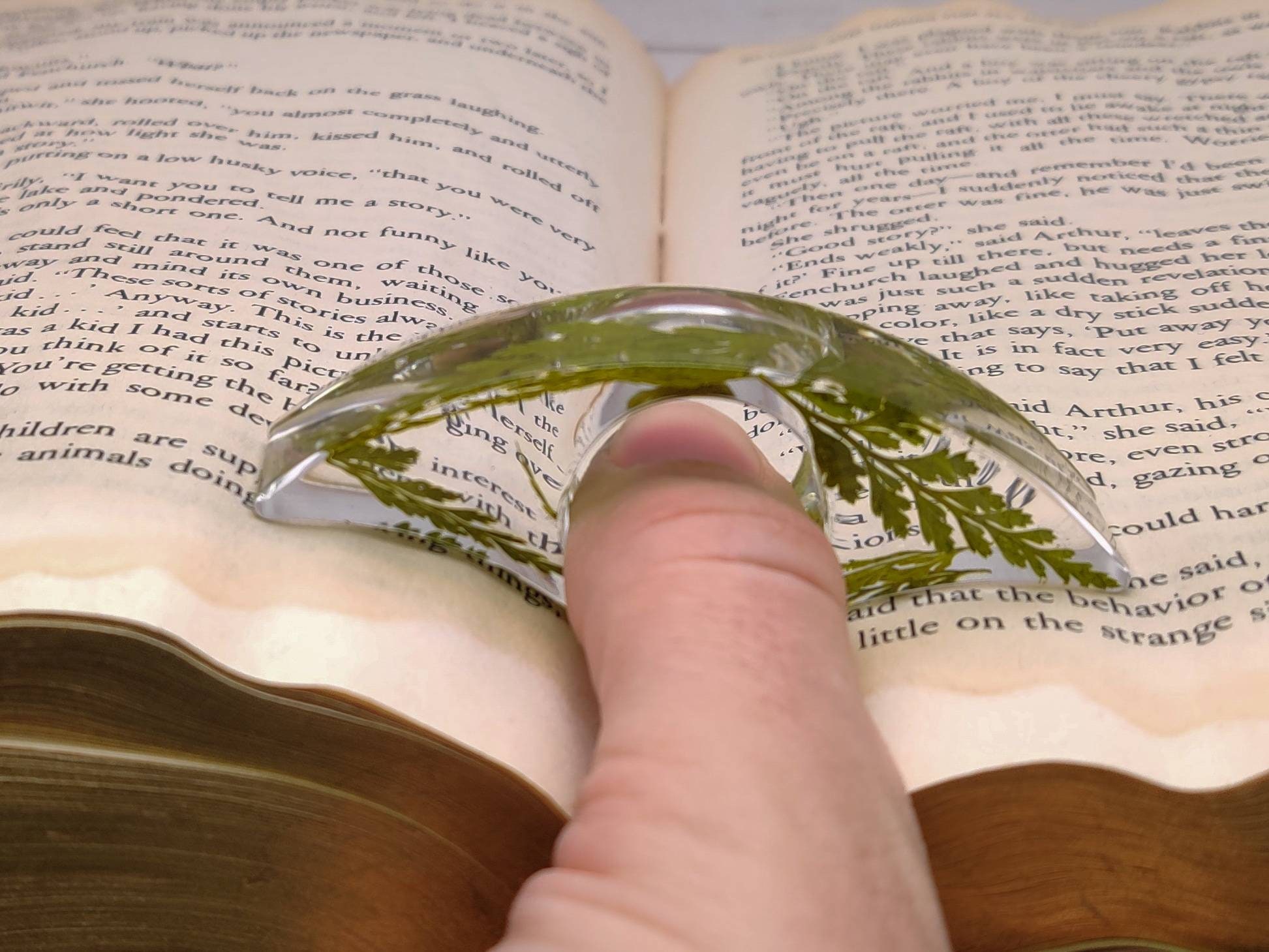 Pressed Plant Botanical Resin Book Page Holder