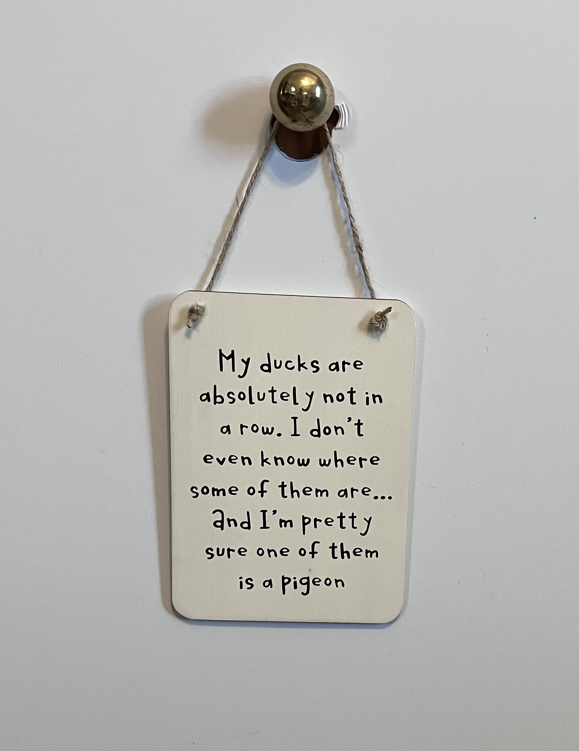 Fun Duck Sarcastic Sign