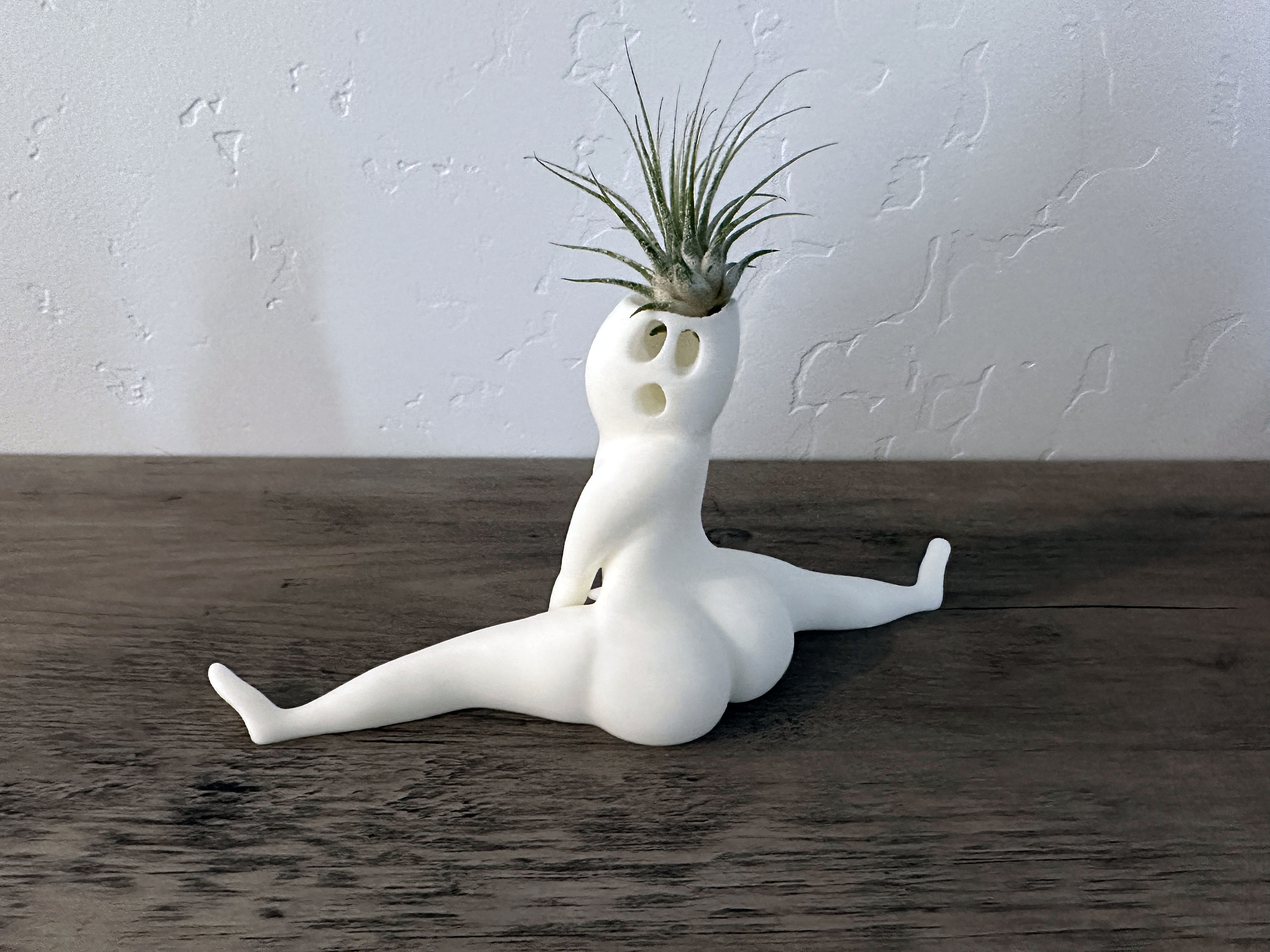 Hilarious Air Plant Display-Big Booty Ghost Planter
