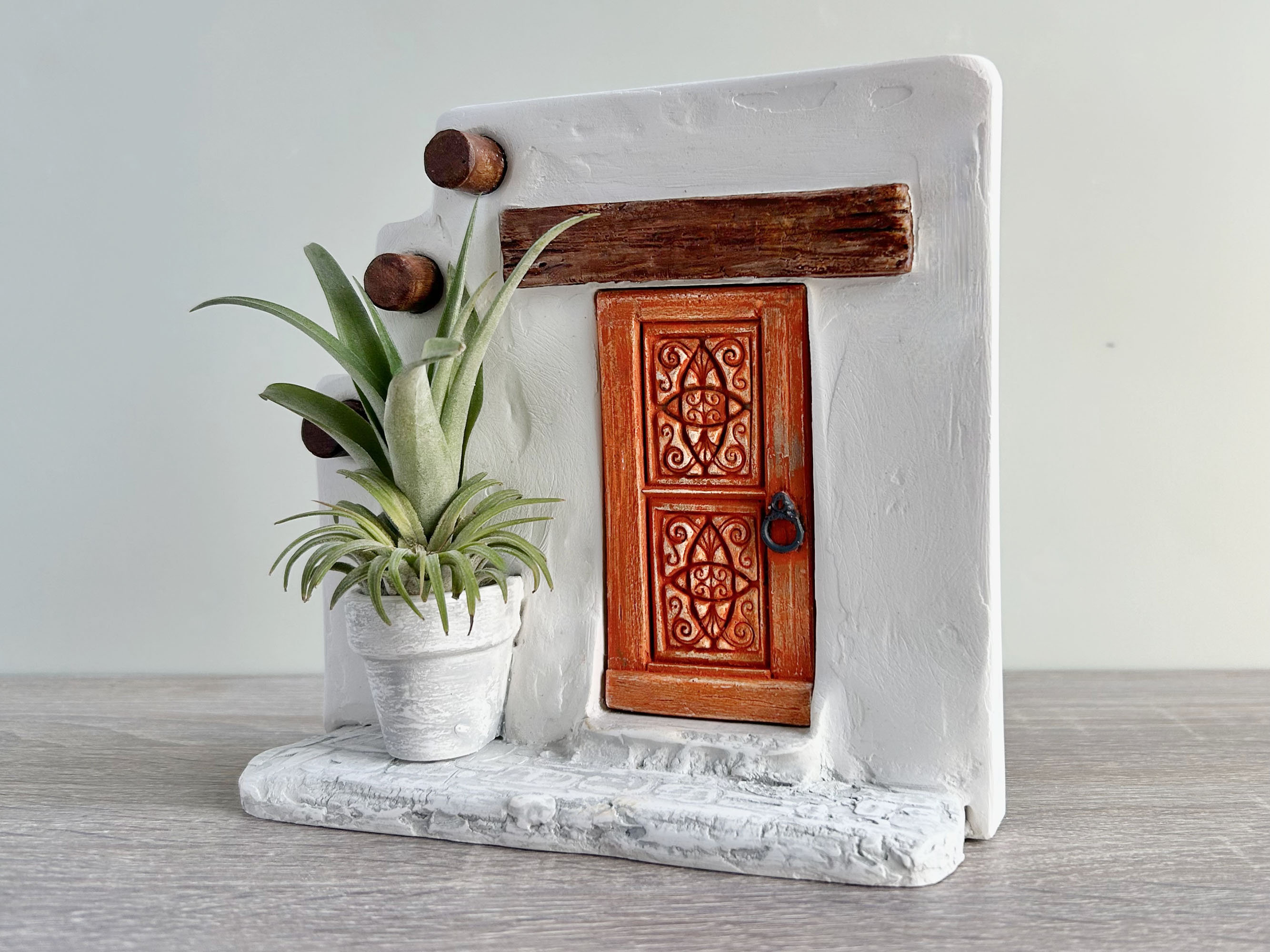 Whimsical Plant Decor Air Plant Display