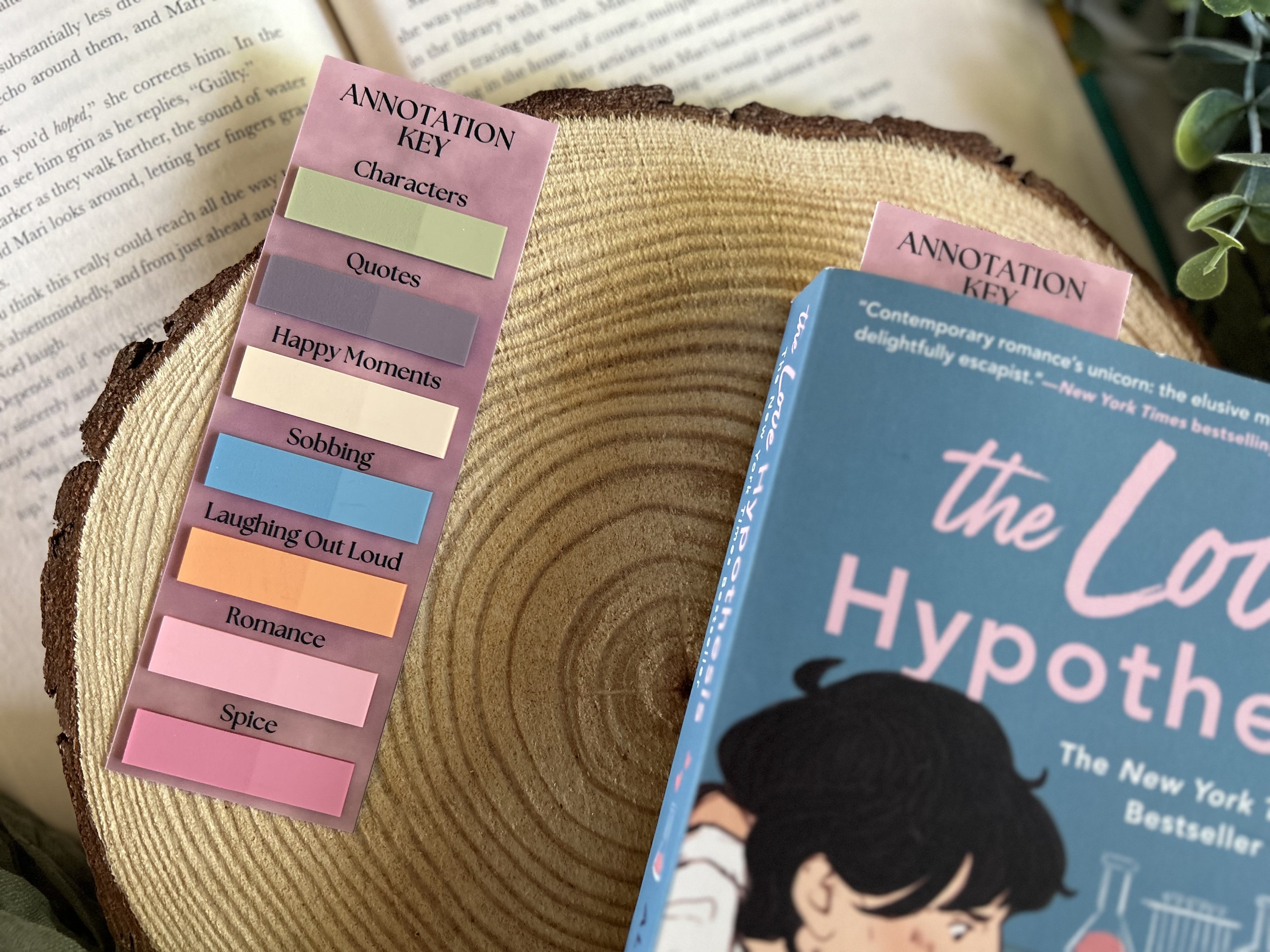 Annotation Bookmark with Tabs