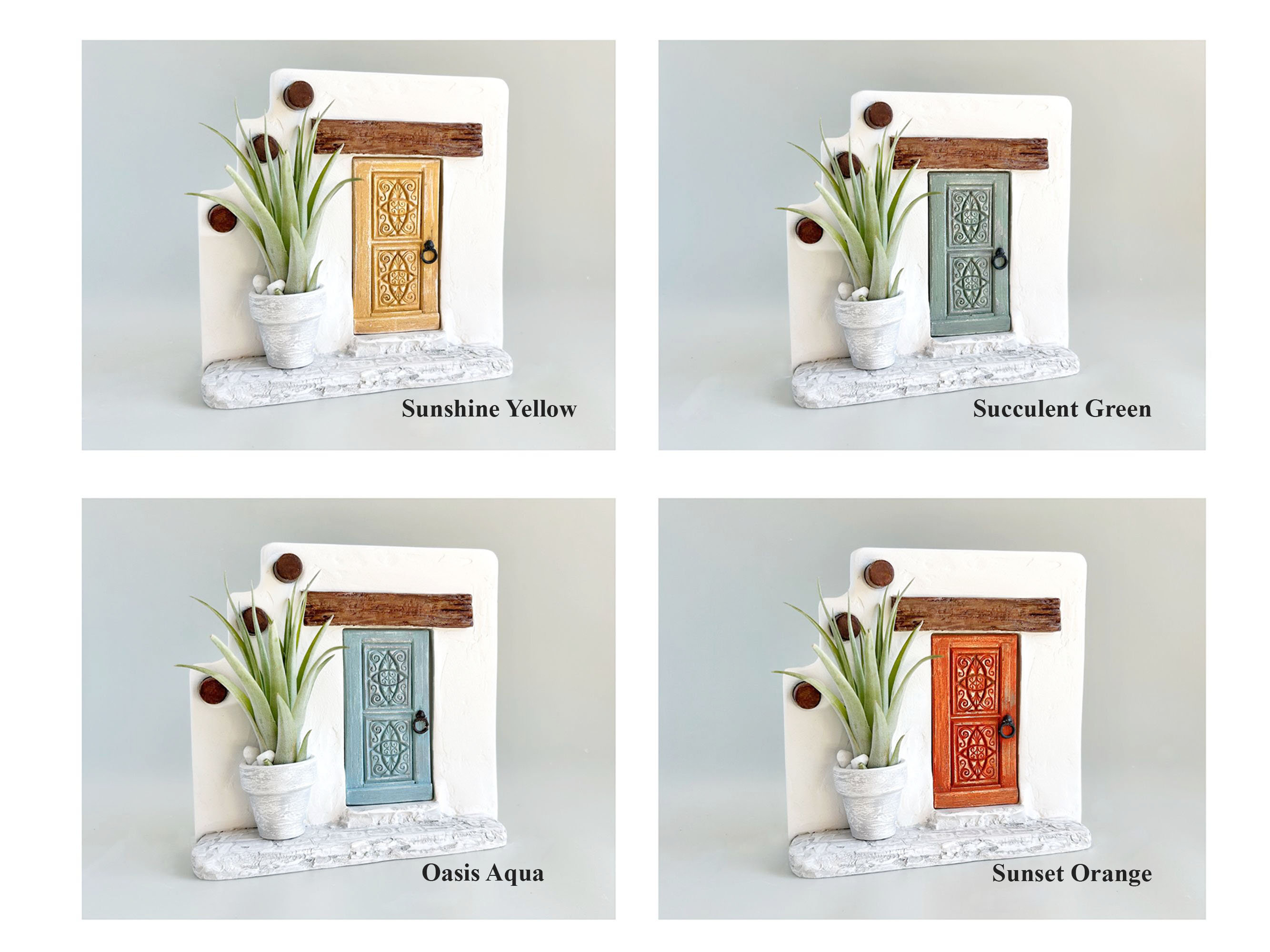 Whimsical Plant Decor Air Plant Display