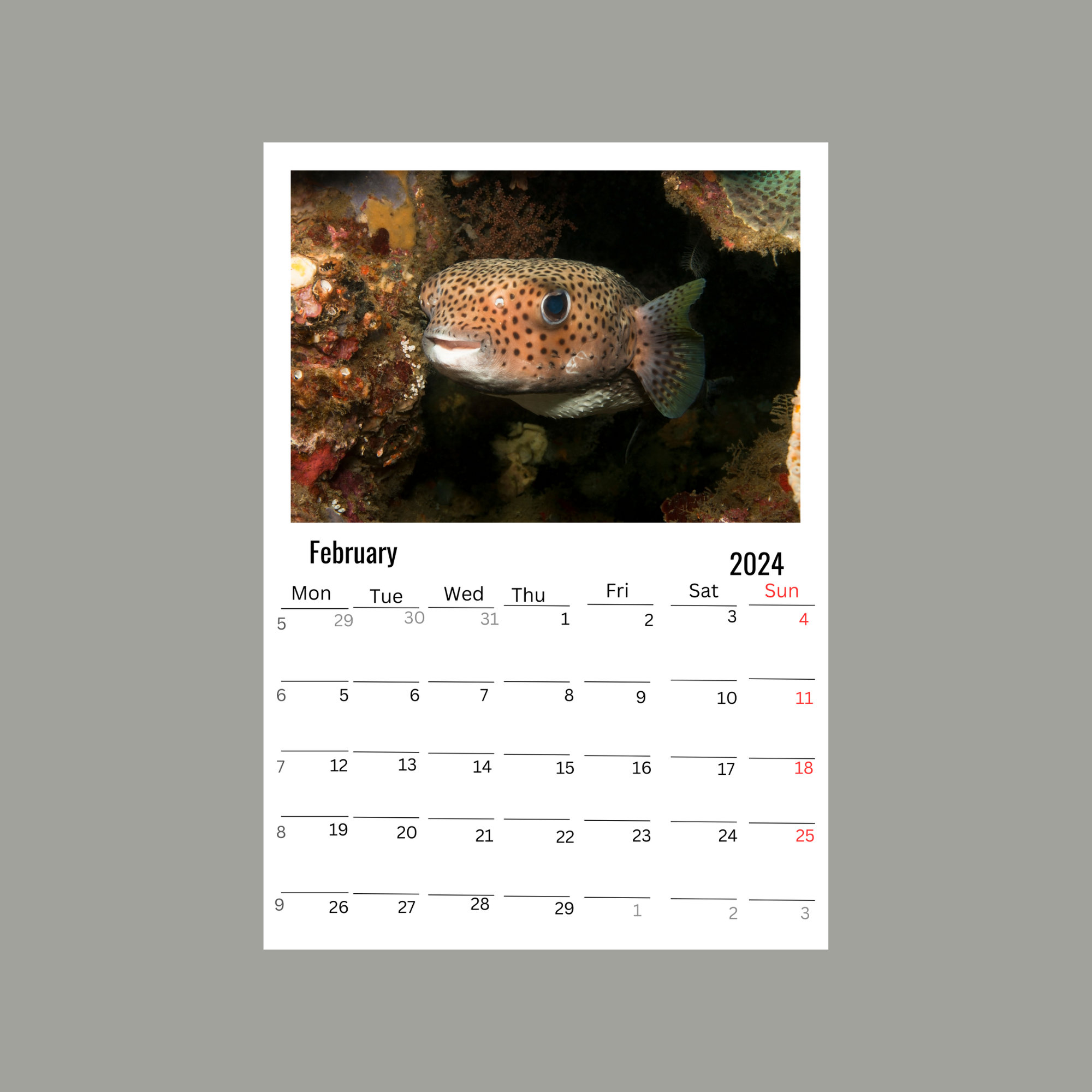 Puffers Wall calendar 2024