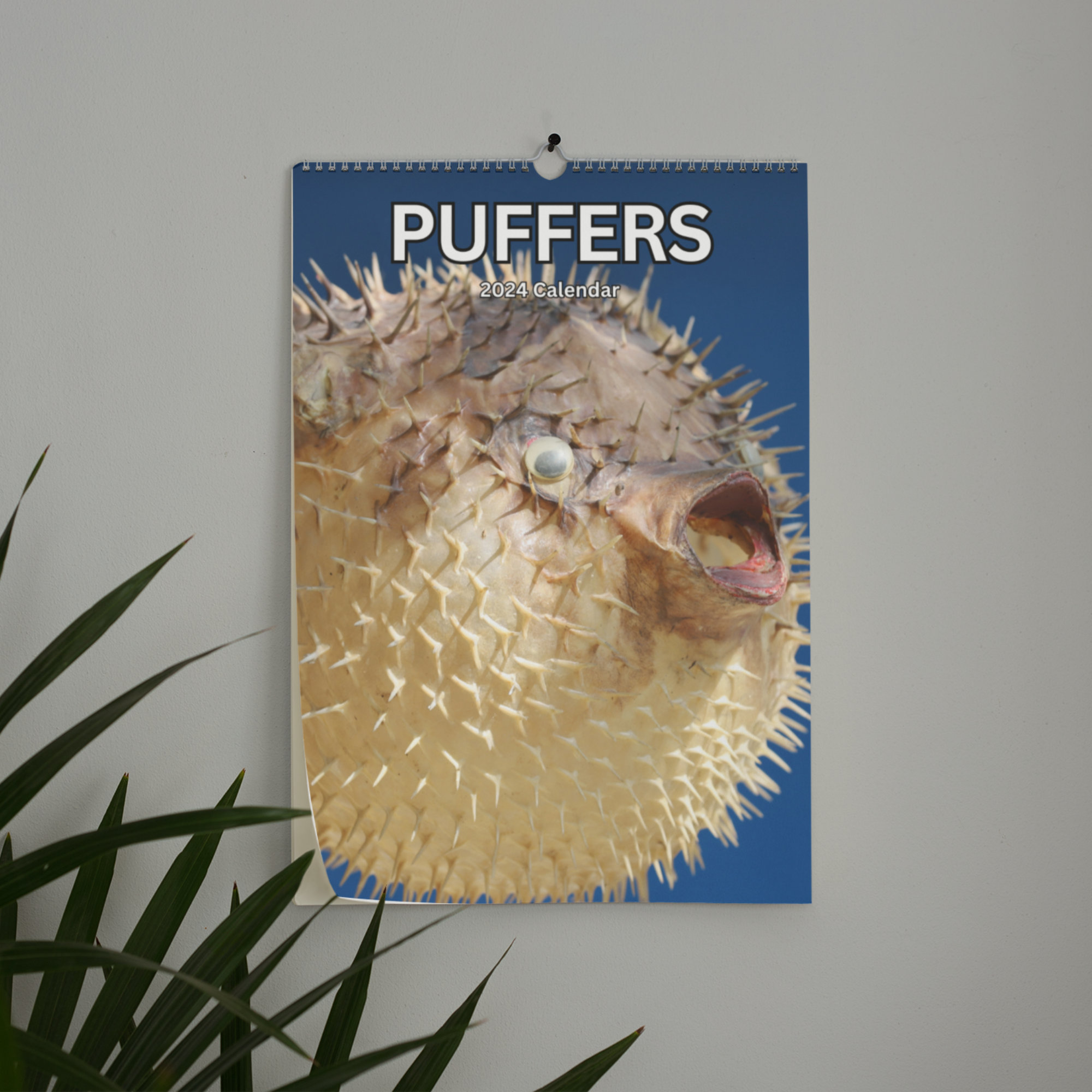 Puffers Wall calendar 2024